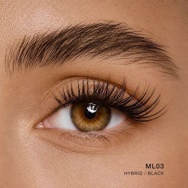 ML03 | Hybrid
